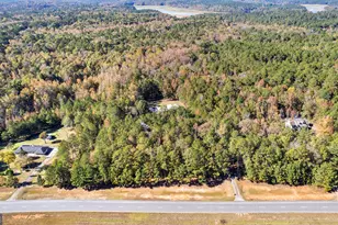 4893 New Franklin Rd, Hogansville, GA 30230 - Photo 102