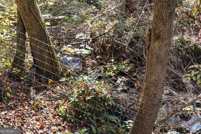 4893 New Franklin Road, Hogansville, GA 30230 - Photo 90