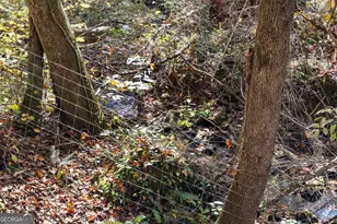 4893 New Franklin Rd, Hogansville, GA 30230 - Photo 90