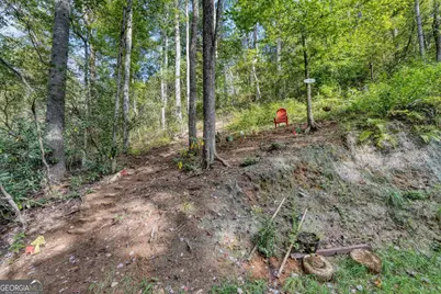 63 Laras Peace Lane, Blairsville, GA 30512 - Photo 24