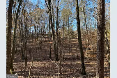 0 Dove Hill Road, Royston, GA 30662 - Photo 1