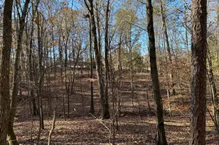 0 Dove Hill Rd, Royston, GA 30662 - Photo 1