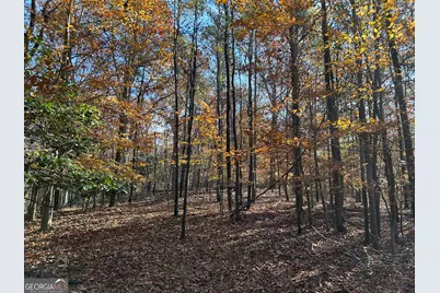 0 Dove Hill Road, Royston, GA 30662 - Photo 6