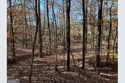 0 Dove Hill Road, Royston, GA 30662 - Photo 12