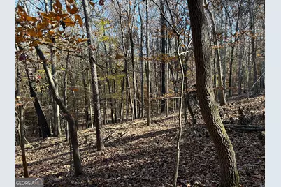 0 Dove Hill Road, Royston, GA 30662 - Photo 8