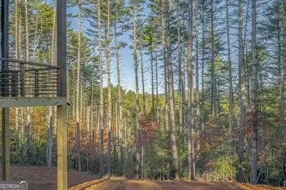 106 Still Run, Morganton, GA 30560 - Photo 16