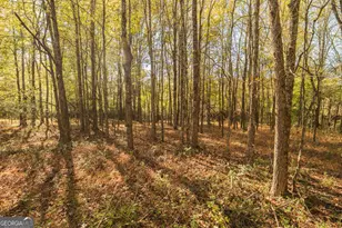 724 Teamon Rd, Griffin, GA 30223 - Photo 48