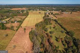 724 Teamon Rd, Griffin, GA 30223 - Photo 8