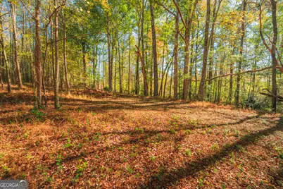 724 Teamon Road, Griffin, GA 30223 - Photo 42