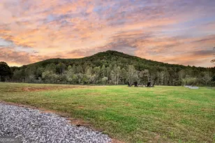 6010 Hwy 2, Epworth, GA 30541 - Photo 8