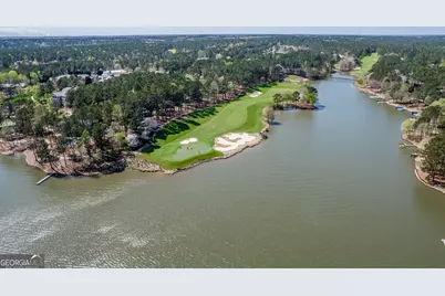 1001B Marina Cove Lane, Greensboro, GA 30642 - Photo 48