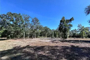 139 Satilla Sands Dr, Waynesville, GA 31566 - Photo 2