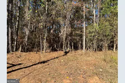 0 Primrose Circle, Greenville, GA 30222 - Photo 4