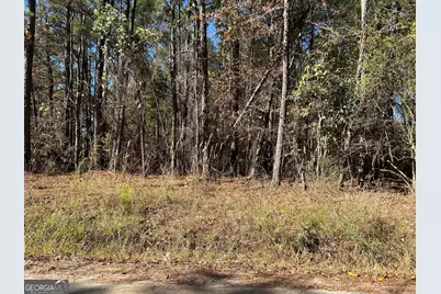 0 Primrose Circle, Greenville, GA 30222 - Photo 2