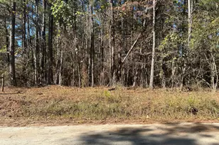 0 Primrose Cir, Greenville, GA 30222 - Photo 1