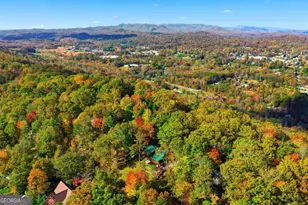 392 Eagles Nest Mountain Rd, Blue Ridge, GA 30513 - Photo 6