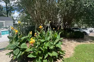 2092 S Sherwood St, Valdosta, GA 31602 - Photo 28