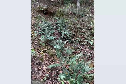 535 Deer Chase Road, Toccoa, GA 30577 - Photo 6