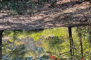 2569 Reed Creek Hwy, Hartwell, GA 30643 - Photo 26