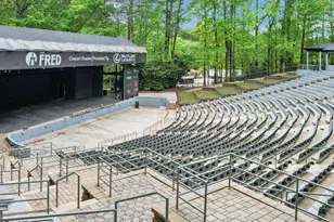 308 Dalston Way, Peachtree City, GA 30269 - Photo 54