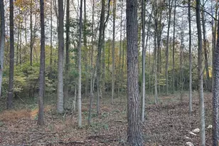 6587 Brockton Rd, Nicholson, GA 30565 - Photo 14