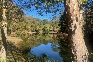 158 Mallard Pointe Way, Athens, GA 30606 - Photo 20