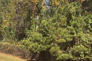 7712 Autry Cir, Douglasville, GA 30134 - Photo 24