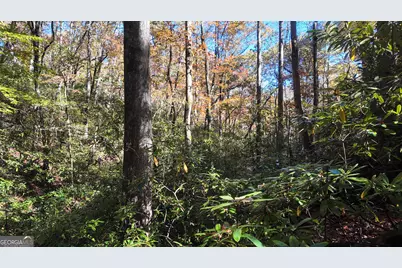 701 St Hwy 356, Clarkesville, GA 30523 - Photo 8