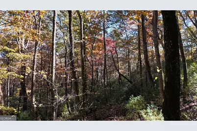 701 St Hwy 356, Clarkesville, GA 30523 - Photo 28