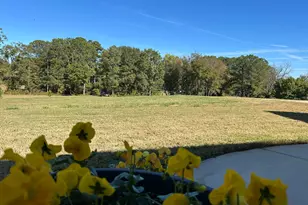 438 Davis Lake, Pine Mountain, GA 31822 - Photo 70