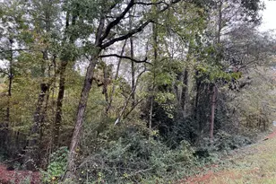 140 Lite-N-Tie Rd, Gray, GA 31032 - Photo 1