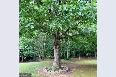 117 Wallace Way, Rockmart, GA 30153 - Photo 12