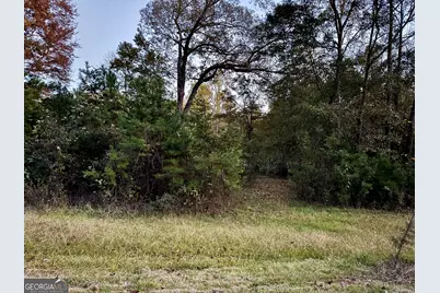 22 Century Drive, Martin, GA 30557 - Photo 8