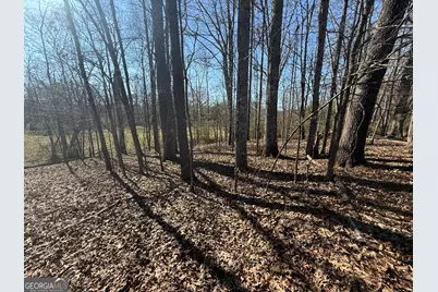 2053 Buttermilk Road SW, Cave Spring, GA 30124 - Photo 58