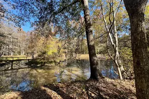3195 Henderson Grove Rd, Sandersville, GA 31082 - Photo 40