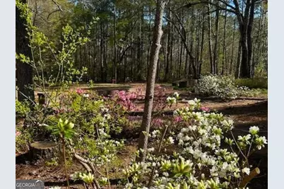 85 Holly Lane, Woodbury, GA 30293 - Photo 40