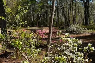 85 Holly Ln, Woodbury, GA 30293 - Photo 40