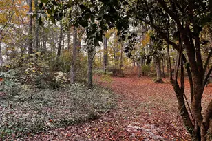 85 Holly Ln, Woodbury, GA 30293 - Photo 30