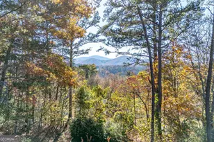 2561 Rustic Rdg Tr, Young Harris, GA 30582 - Photo 84