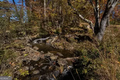 597 Trailwood Drive, Ellijay, GA 30536 - Photo 24