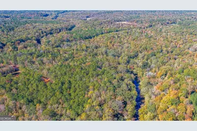 3471 Ga Highway 42 N, Forsyth, GA 31029 - Photo 18