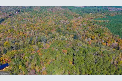 3471 Ga Highway 42 N, Forsyth, GA 31029 - Photo 16