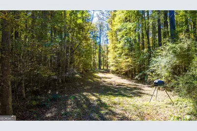 3471 Ga Highway 42 N, Forsyth, GA 31029 - Photo 28