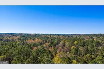 3471 Ga Highway 42 N, Forsyth, GA 31029 - Photo 14