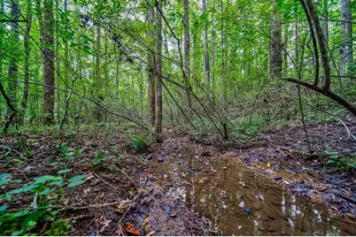 0 Borrow Pit Road, Douglasville, GA 30134 - Photo 4