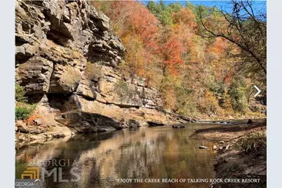 945 Longbranch Drive, Ranger, GA 30734 - Photo 1