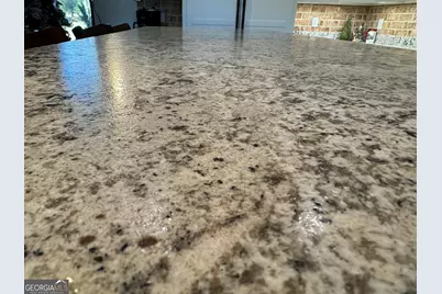 1665 Walke Dairy Road, Dublin, GA 31021 - Photo 50