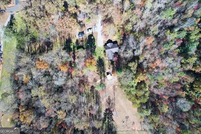 1099 Lickskillet Circle, Epworth, GA 30541 - Photo 44