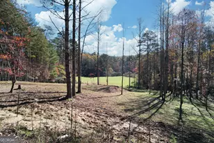 1099 Lickskillet Cir, Epworth, GA 30541 - Photo 46