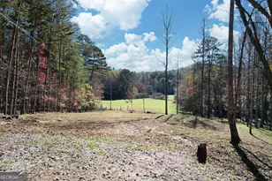 1099 Lickskillet Cir, Epworth, GA 30541 - Photo 42